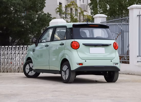 Manufacturer Directly Sale High Speed Electric Lithium Battery Car