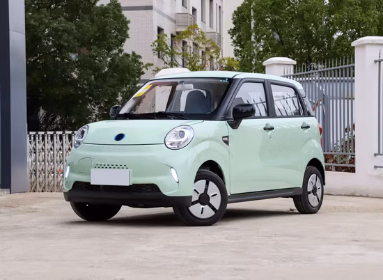 Manufacturer Directly Sale High Speed Electric Lithium Battery Car