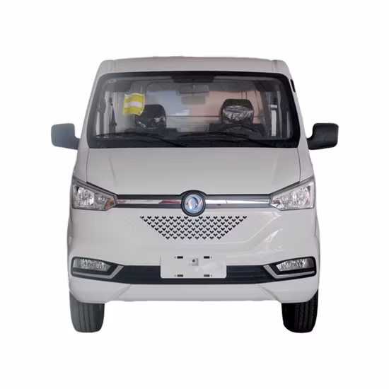 New Energy Truck Xinyuan Brand Electric Van EV Truck