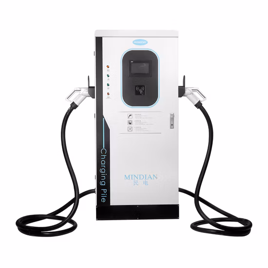 Chargeur rapide DC pour voiture électrique, 30kw, 40kw, 60kw, Double pistolet au sol